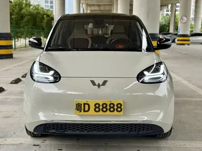 Wuling Bingo