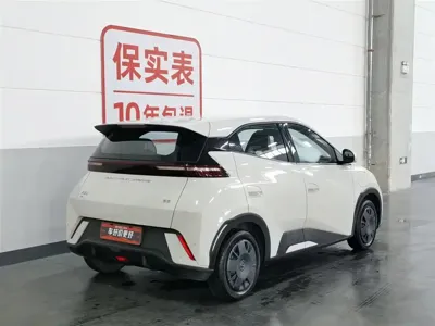 BYD Seagull