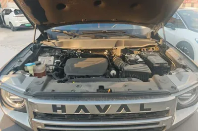 Haval Dargo