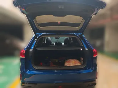 WEY VV6