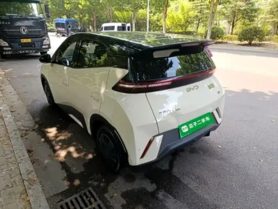 BYD Seagull