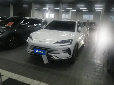 BYD PLUS New Energy