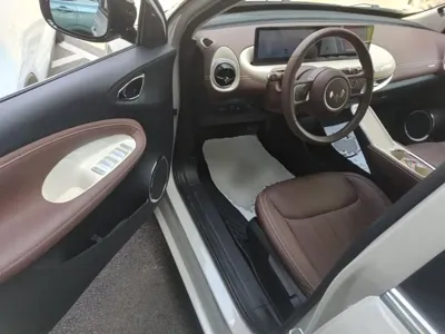 Wuling Bingo
