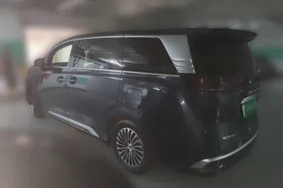 Denza D9