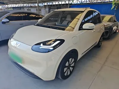 Wuling Bingo