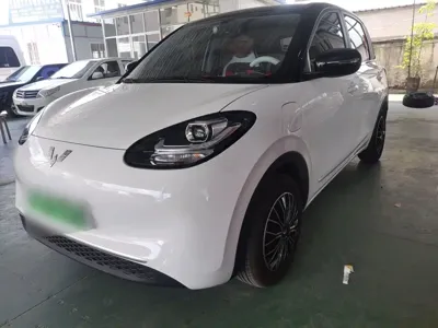 Wuling Bingo
