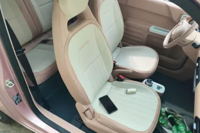 Geely Galaxy Panda