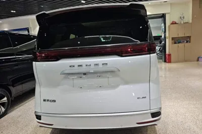 Denza D9
