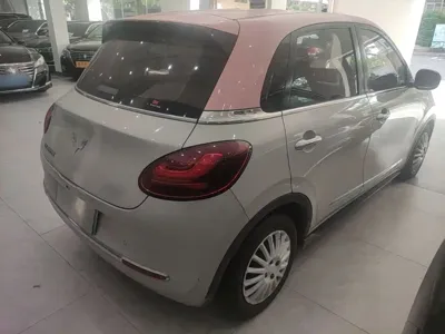 Wuling Bingo
