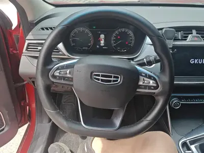 Geely Binrui