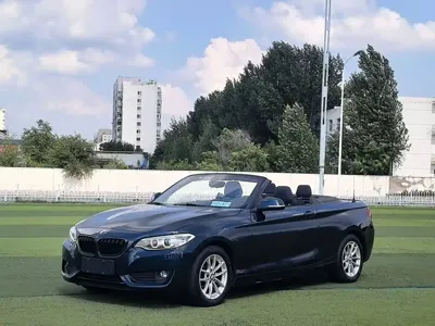 BMW 2 Series (Import)