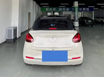 Wuling Bingo