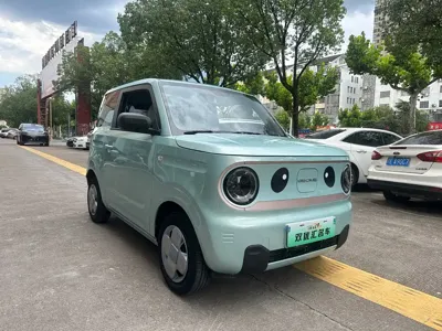 Galaxy Panda
