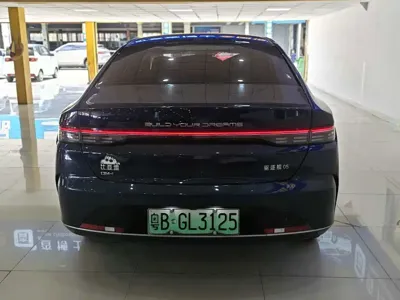 BYD Destroyer 05