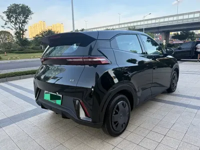 BYD Seagull