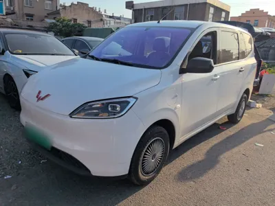 Wuling Hongguang New Energy