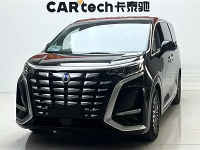 Denza Denza D9