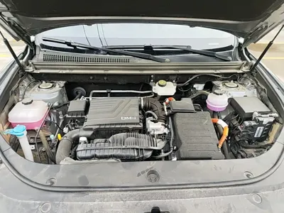 BYD Pro New Energy