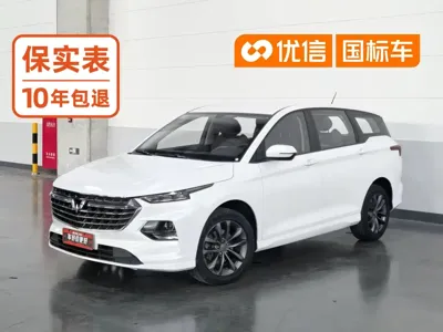 Wuling Victory