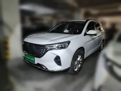 Haval M6