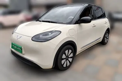 Wuling Bingo