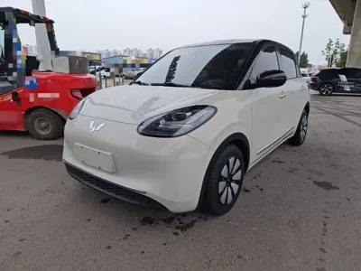 Wuling Bingo