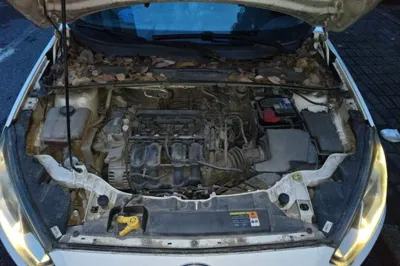 Ford Escort