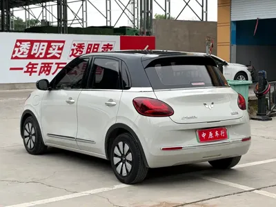 Wuling Bingo