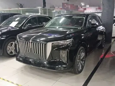 Hongqi Hongqi E-HS9
