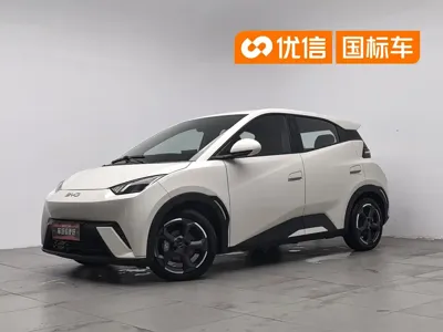 BYD Seagull