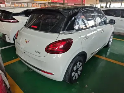 Wuling Bingo
