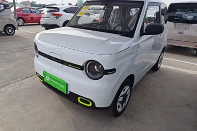 Geely Galaxy Panda