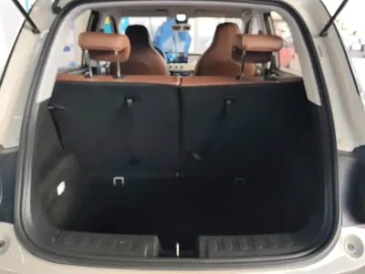 Wuling Bingo