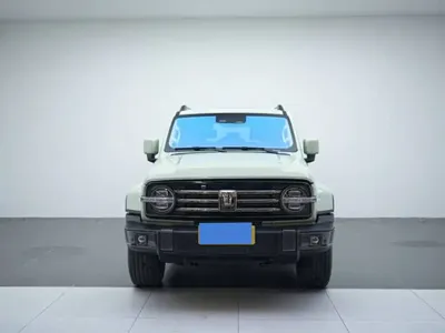 Tank Tank 300