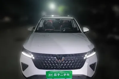 Wuling Alvez