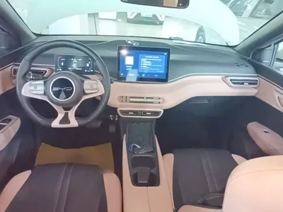 BYD Seagull