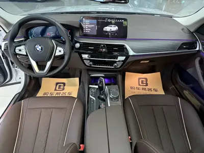 BMW 5 Series New Energy