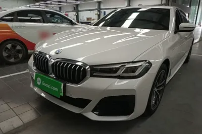BMW 5 Series New Energy