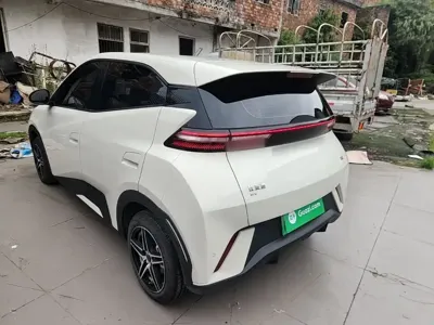 BYD Seagull