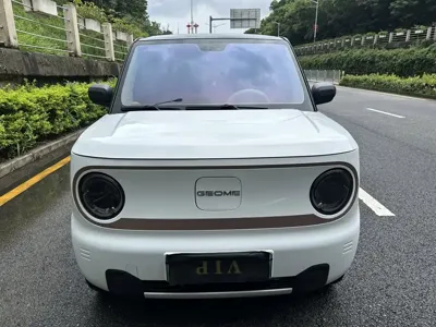 Galaxy Panda