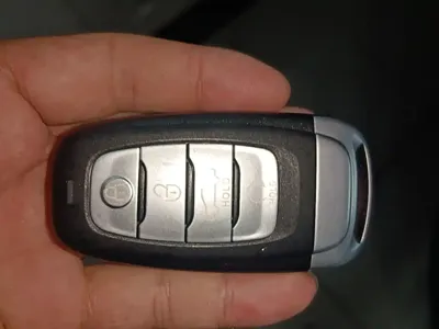 Hongqi Hongqi E-HS9