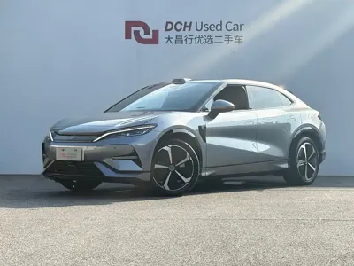 BYD L EV