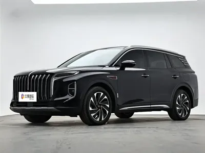 Hongqi Hongqi HS7