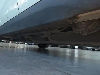 NETA Neta V