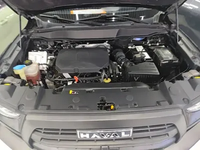 Haval Big Dog