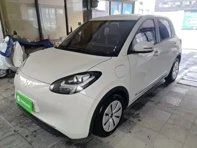 Wuling Bingo