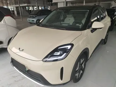 Wuling 缤果S