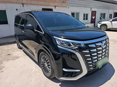 Denza Denza D9
