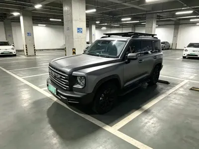 Haval Menglong New Energy