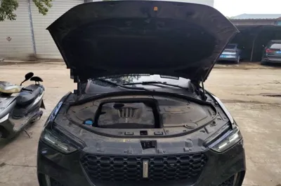 WEY VV7
